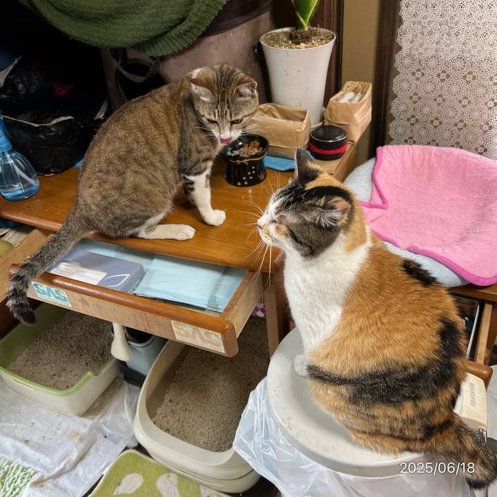 033a0243 35cd 4fc3 9957 750e242a763a 1750198033789