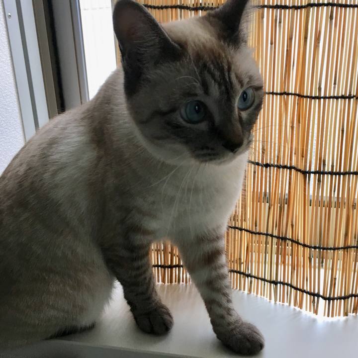 033a10c0 b776 4117 87b1 b4d4a8a498b6 1561942496285