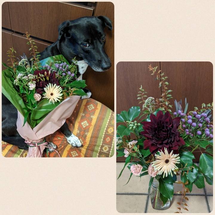 033a14f8 9659 489d b51b 491dc4a0b56c 1631182767221