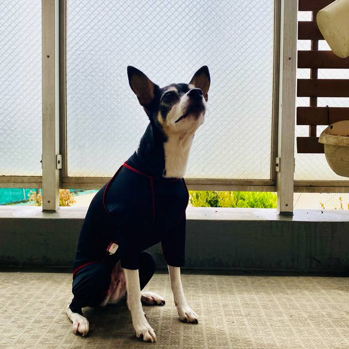 033a47d4 25e4 40cf b961 49f86b7b29a6 1618637658955