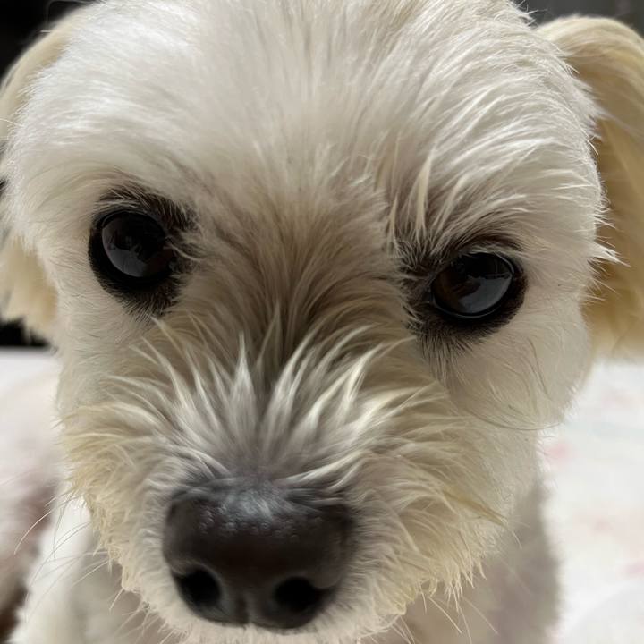 033a5315 a9f7 40dc 8859 1d75d7cbd101 1663847281459