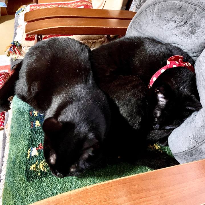 033a873f 8b50 4d67 847a 12f05740bf4e 1578384724959