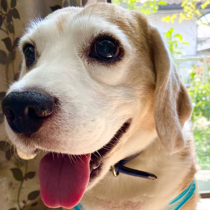 033a9362 ee64 4e2f 9073 0a3236541d68 1600659899220