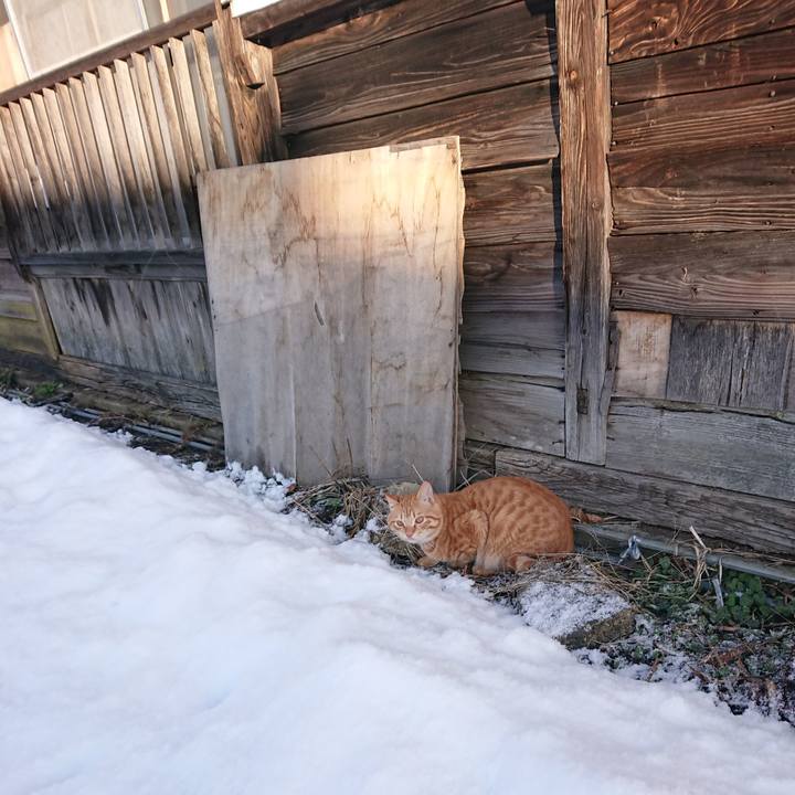 033aa7ce 06e9 4306 8146 fff0ae827e20 1644990082627