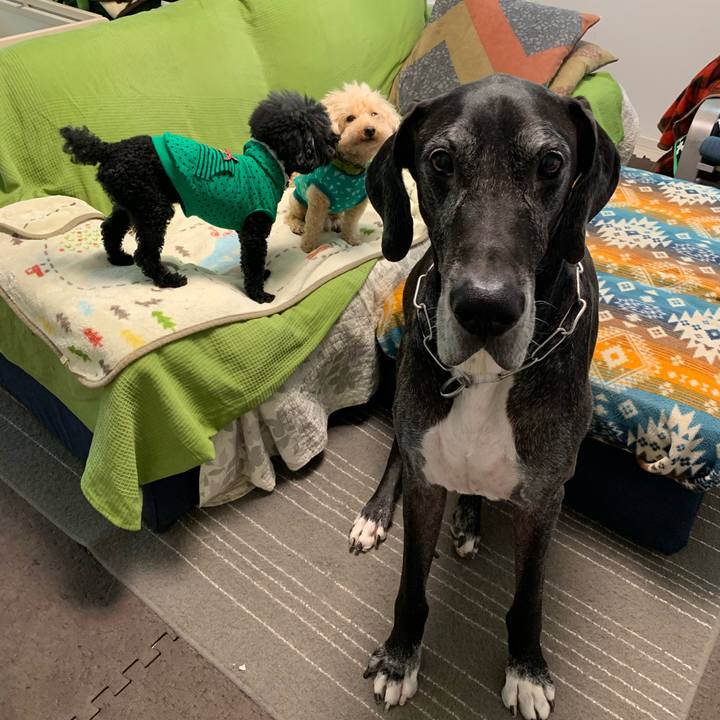 033aa947 7388 457d 85f2 367dedc0e394 1572388039346