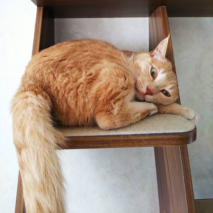 033ae05e 6dda 4e10 98ff 5242c4cc558f 1628116943891