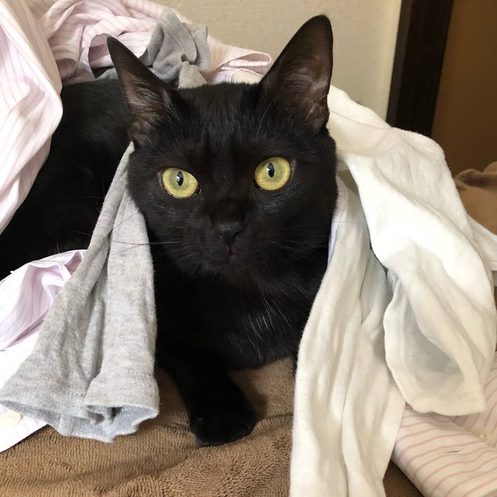 033ae7a3 5d47 458f 9422 3a934ad8b1b1 1523410899871