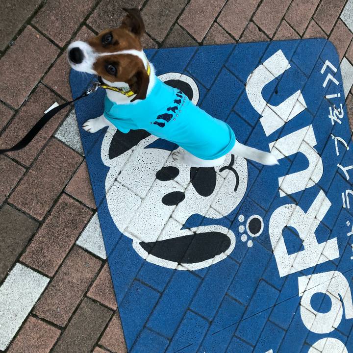 033b4045 e46d 40b2 af12 23a43eaba540 1529229234392