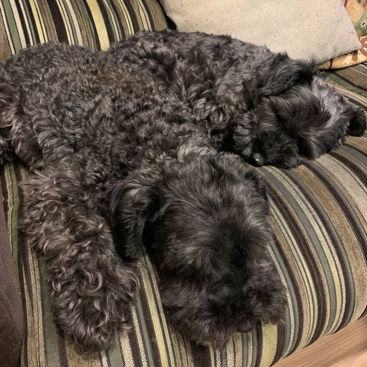 033bc040 7647 4800 bb72 bed06337bbce 1595329741890