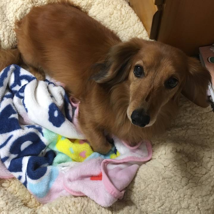 033bca34 33b0 4869 ba7b ab42dc98807a 1556893321892