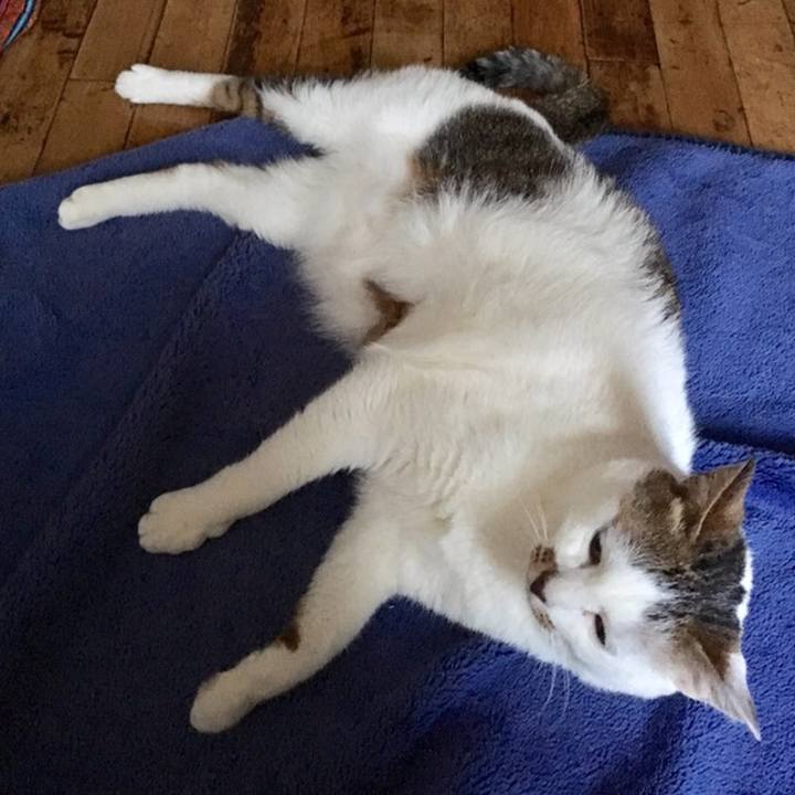 033bf003 a217 4c64 871f 6273f64e2ad7 1558351726146