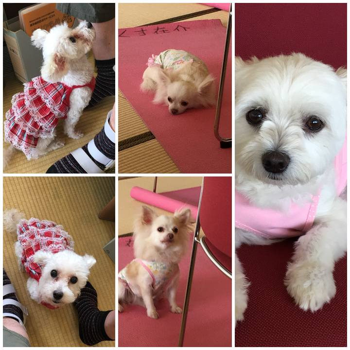 033bf66c 03b7 4e54 8a49 eb4c584a2fd6 1536322425957