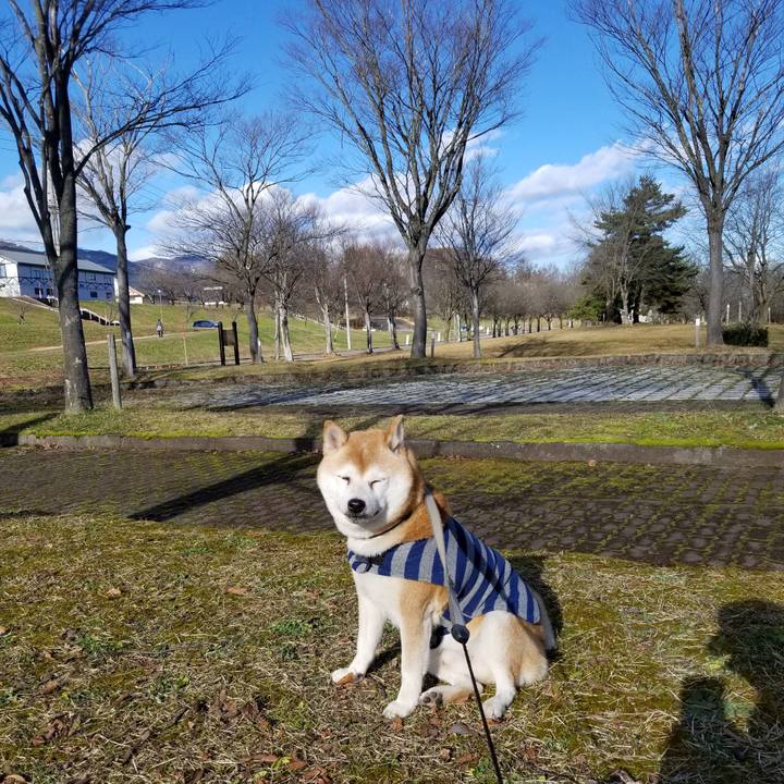 033c319c b6bf 48d9 a000 bedf92dc9330 1638333980177