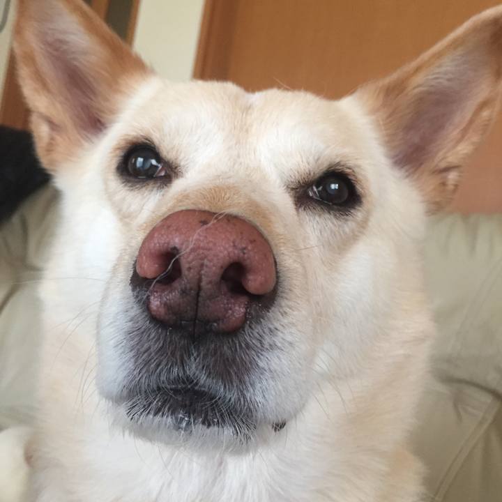 033c81c8 fca3 489d ac6d 9fe38a1a9388 1521163529343