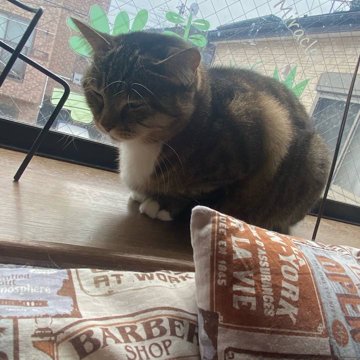 033ca3a3 2280 433f 8a1d 13a95ff43645 1637471271765