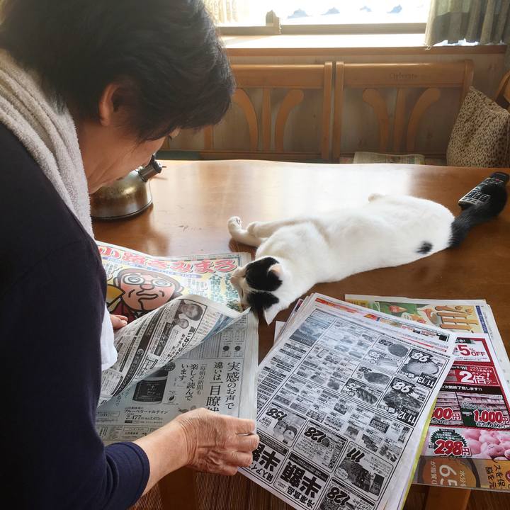 033cb496 7887 406e ac17 cc3dfe35c57a 1541896477057