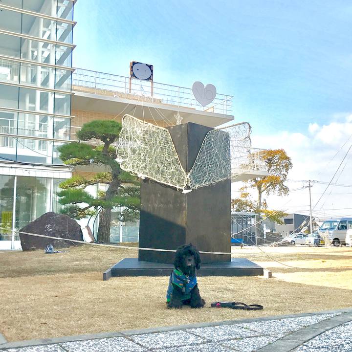 033cdae3 2847 4654 98ee 15858f13d402 1550723726885