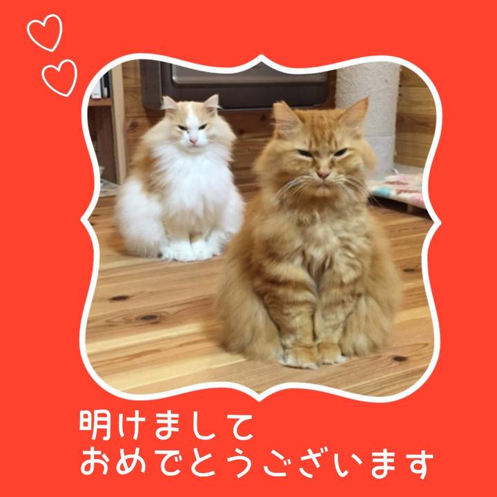 033ceed9 eac7 43cd 9c67 d687319f66de 1577806361774