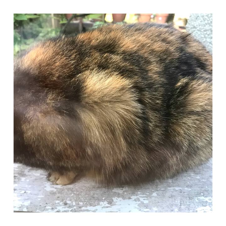 033d0e57 afb0 43cd 84ae 257ce218d3df 1652916102784