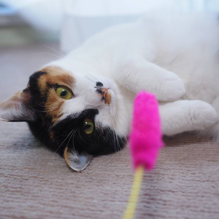 033d18e5 6aab 4679 ad2a 72c9001da9d7 1516140800143