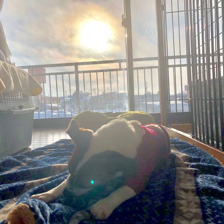 033d25d3 bd69 4c99 8909 67fa217b8d64 1548199991046