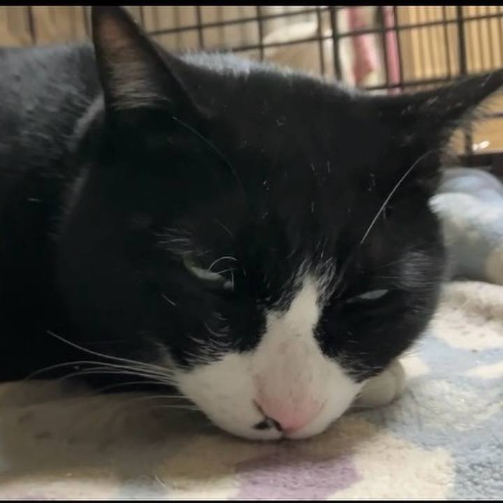 033d6886 1283 4d5b b4e6 7ffb8a3d601e 1740821313934