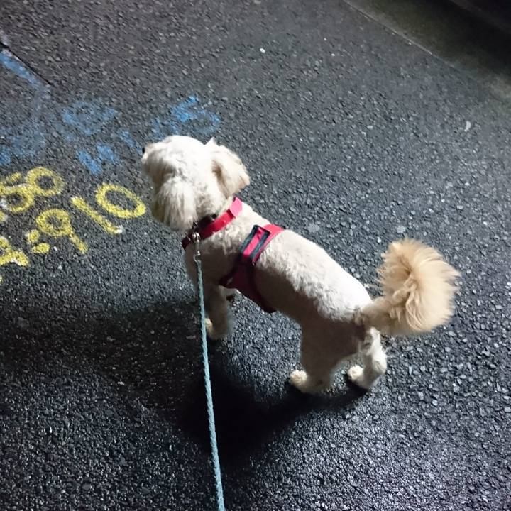 033da360 9668 416e a6c8 fb9543904dc2 1596025485551