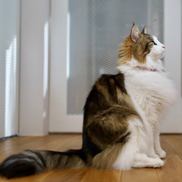 033db23b 6519 4bf0 8c6e 53b09a1bca40 1649233898853