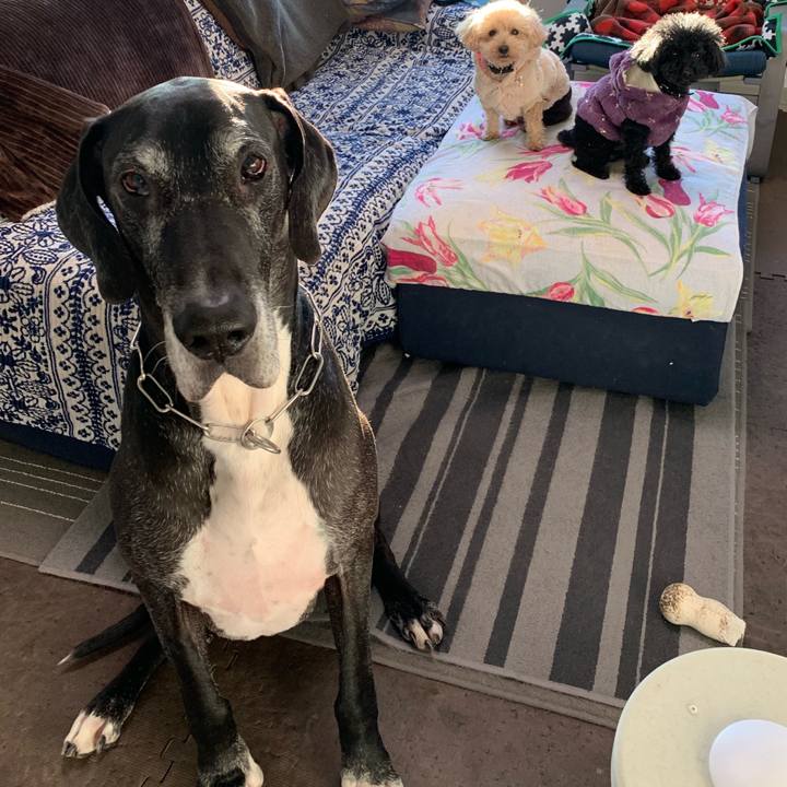 033dc384 2c97 4207 b219 8d1098aaf938 1548110970374