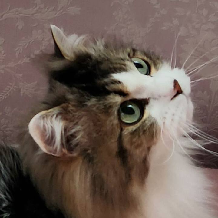 033de5c7 e106 42c7 8457 6fce06c9d6d3 1745790914365