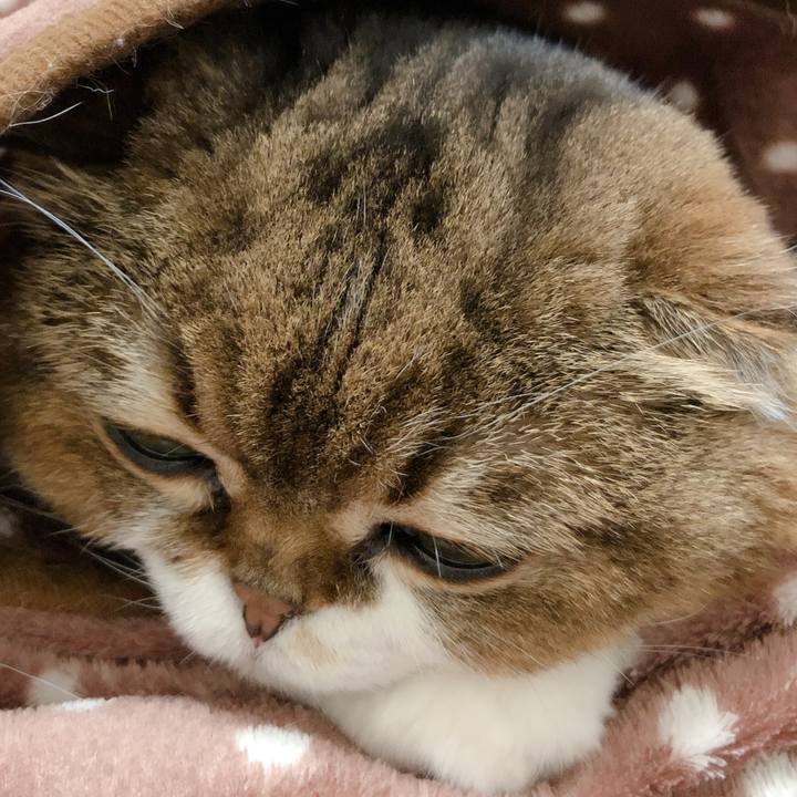 033df568 efca 4f65 9d93 d89d189981b2 1603322151689