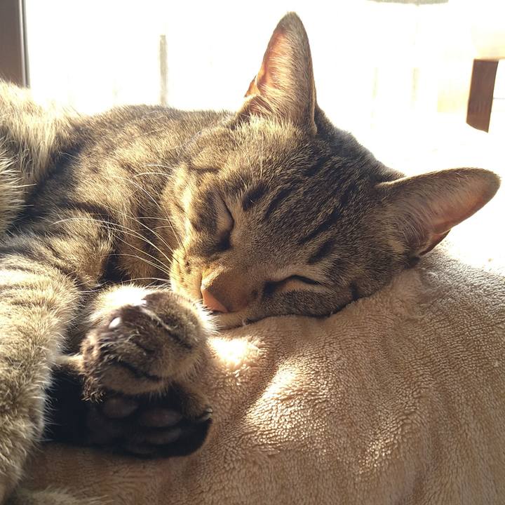 033dfc7f bcc7 4e6a 9958 20e3a34eeb76 1680328158451