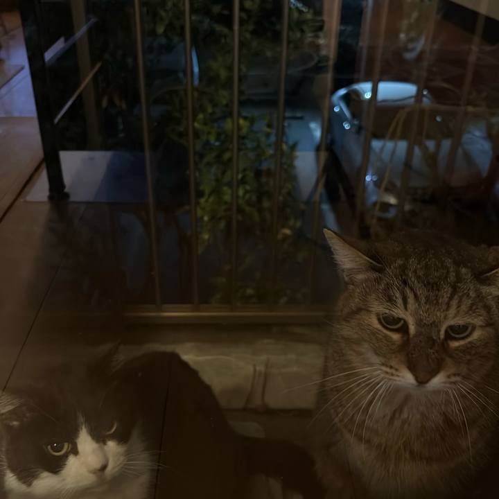 033eaa04 5751 4ab2 befb 45f80058d4ee 1774525772115