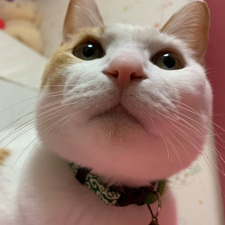 033ee0f8 7352 4fcf 8a69 3cfc2ec33b56 1581414724802