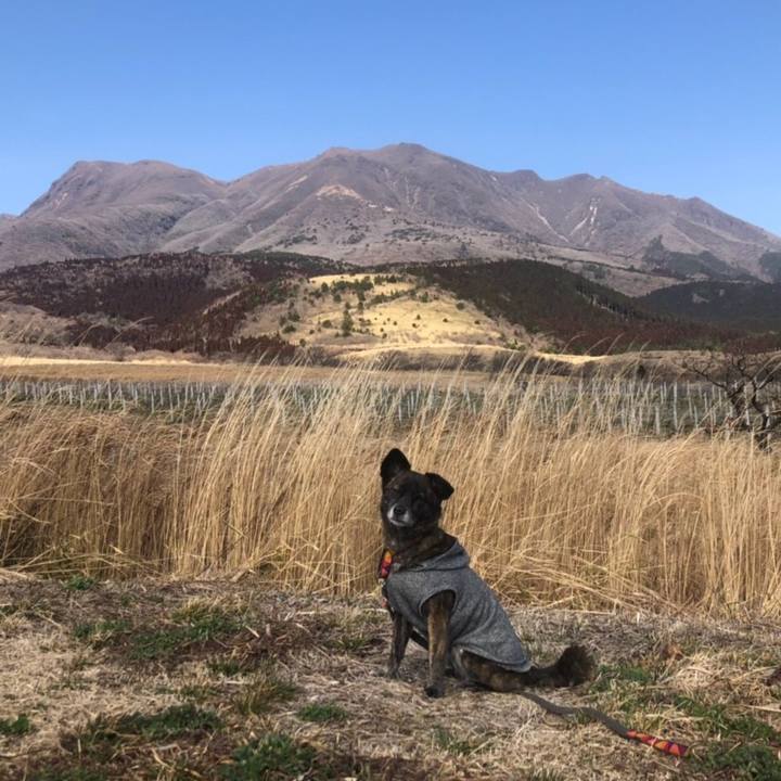 033f1ff4 3ee5 4c92 a5f3 5b7306a4dbb5 1550847744264