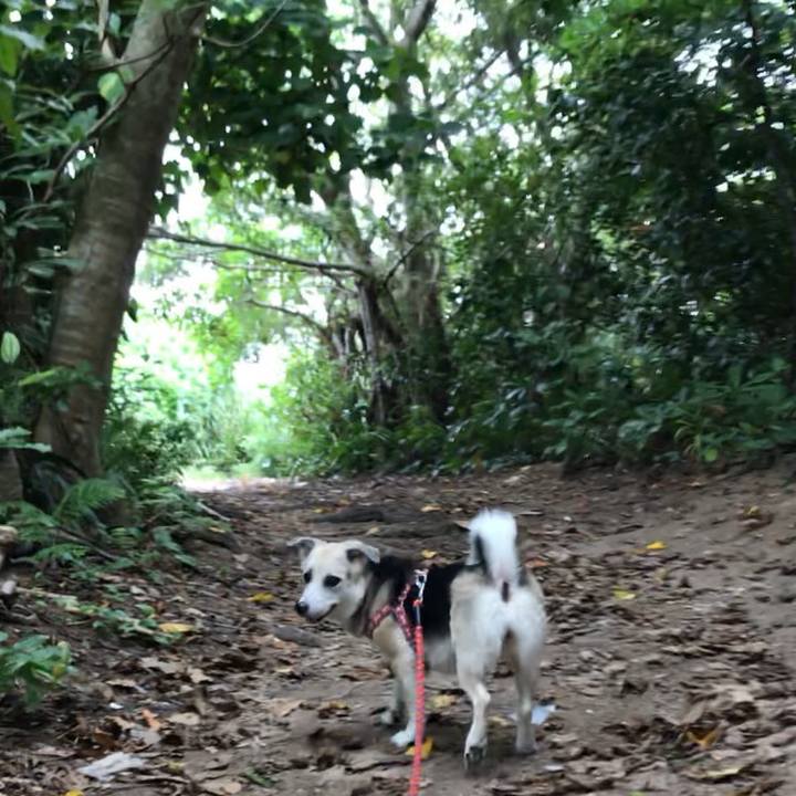 033f2156 294e 45aa 8c73 046bb52d740a 1543388511845