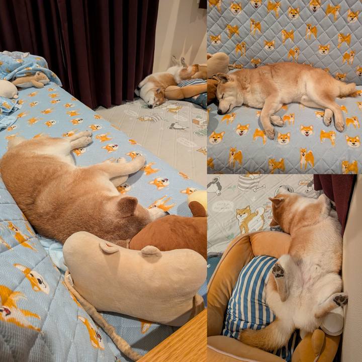 033f2c28 f3c3 41fe b63e 9762dccc104b 1761477997648