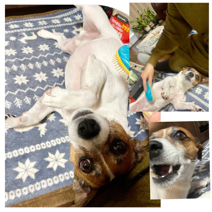 033f6d31 38ab 494d 8a49 d80f40406cfa 1740135478287