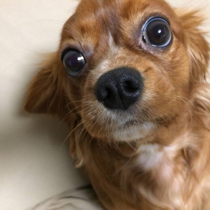 033f701a 6f34 4395 a505 cf61b87cf430 1510919126177