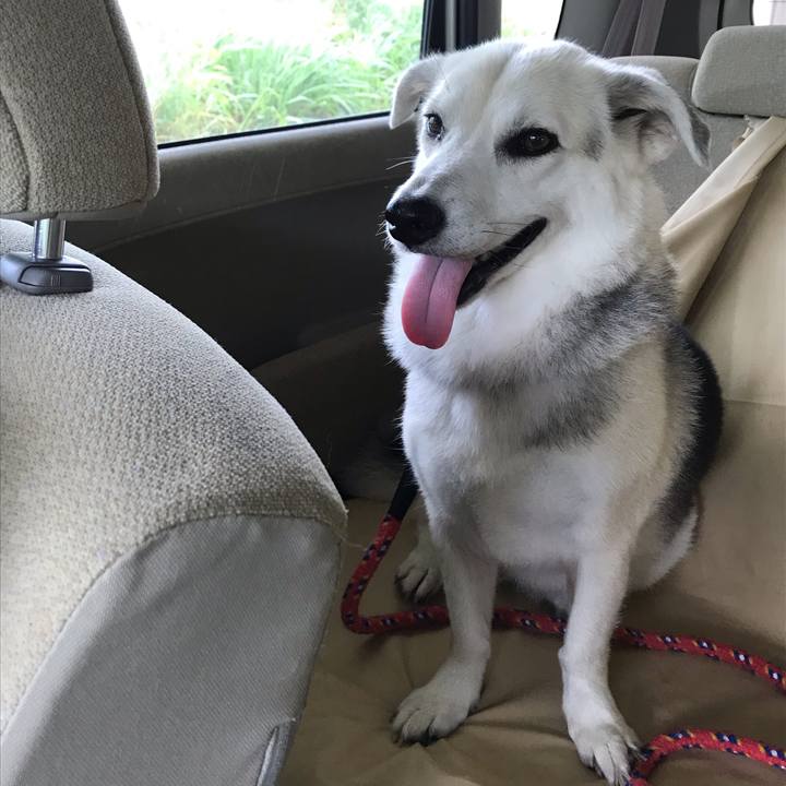 033f725d d975 4c16 97ab f808d3e58f67 1591692964787