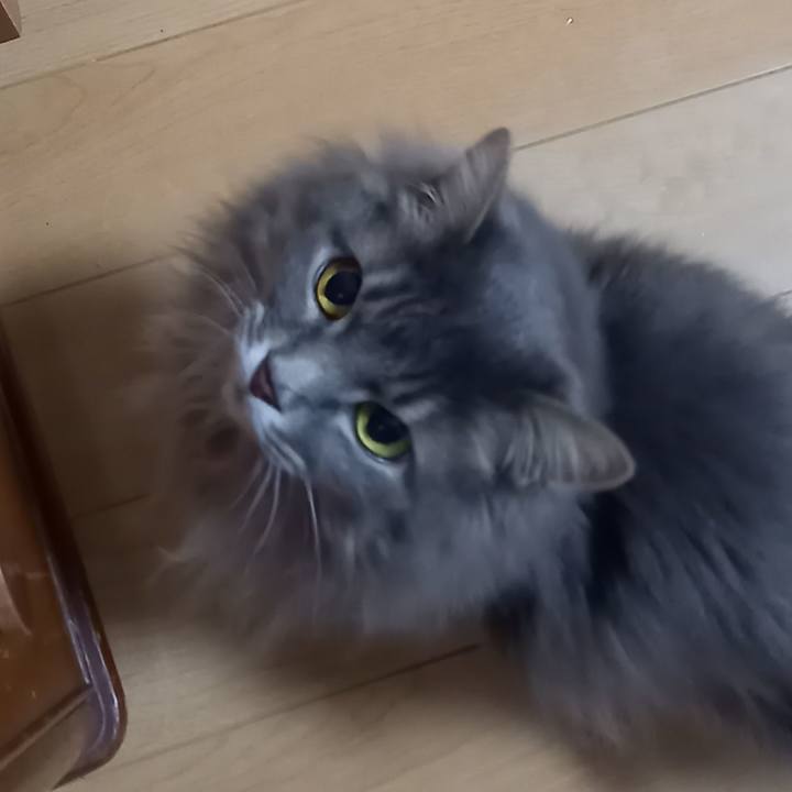 033fb33d a79b 4556 9f9c 226df3ec52a1 1649503145002