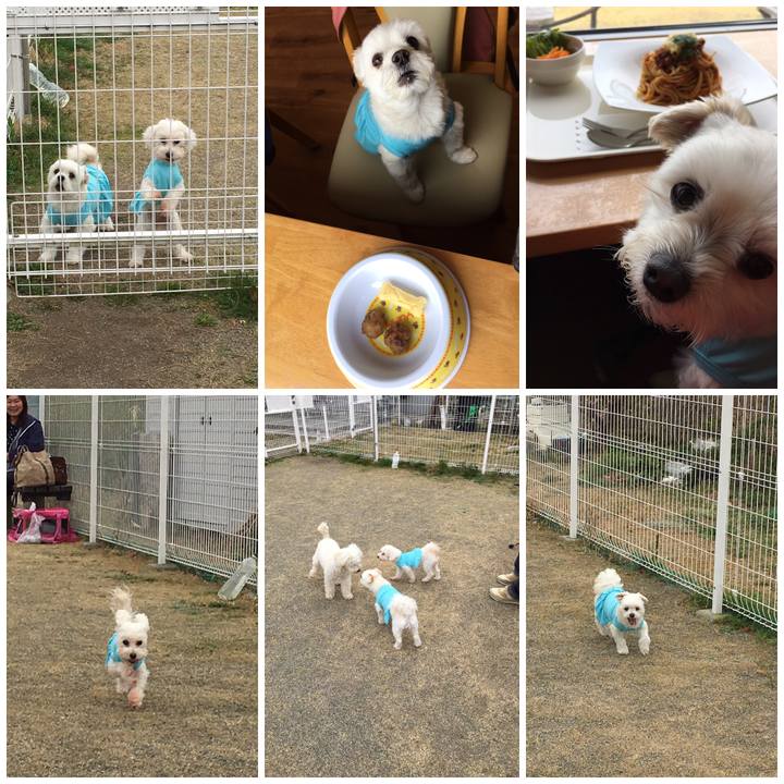 033ff504 781e 4f84 b2c8 2b3c1956e0ca 1553949335336