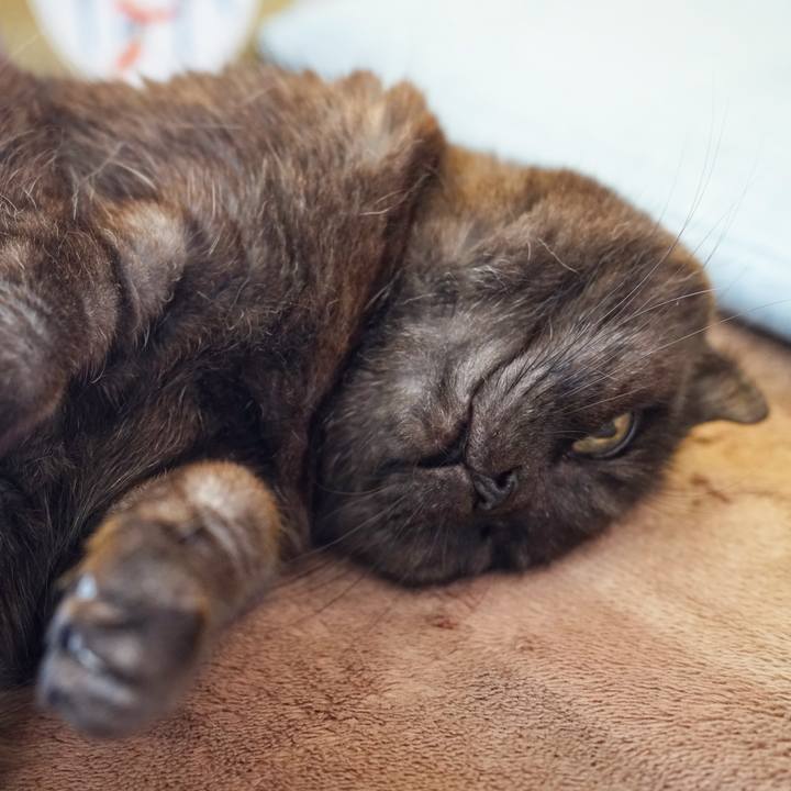 034010b6 f3ef 4ad6 95be 73df02dde525 1613908601450