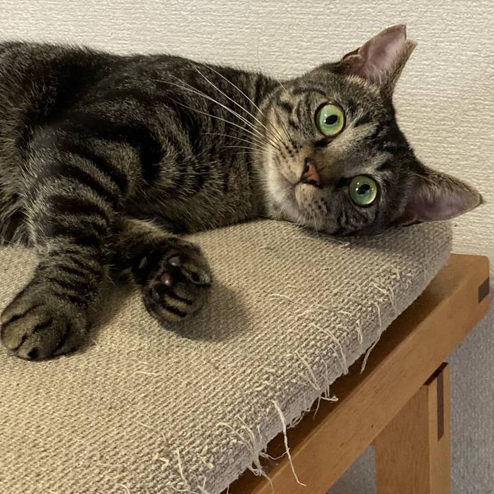 034042e0 88be 4ce4 a831 87770af0fae8 1627082315617