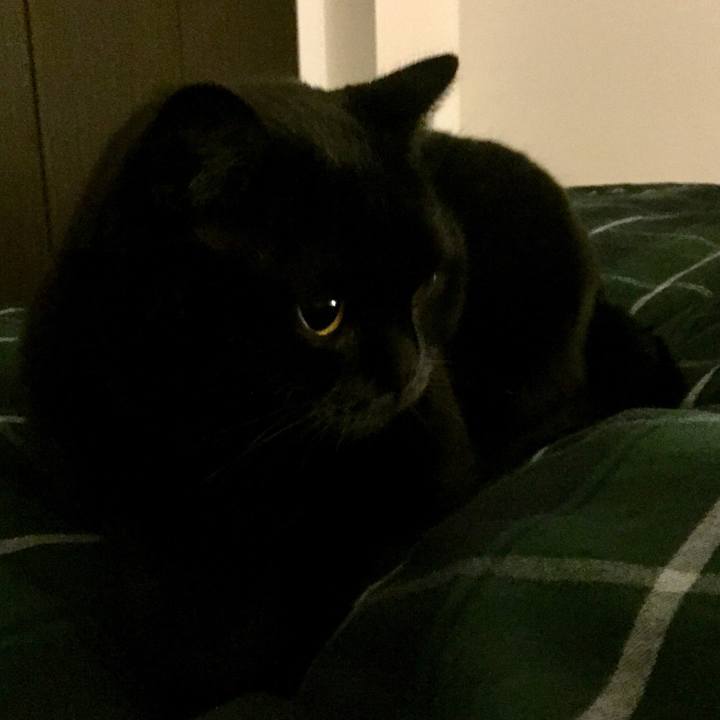 03405232 7ae4 4b22 91b9 9c7b7ce3416c 1542290854657