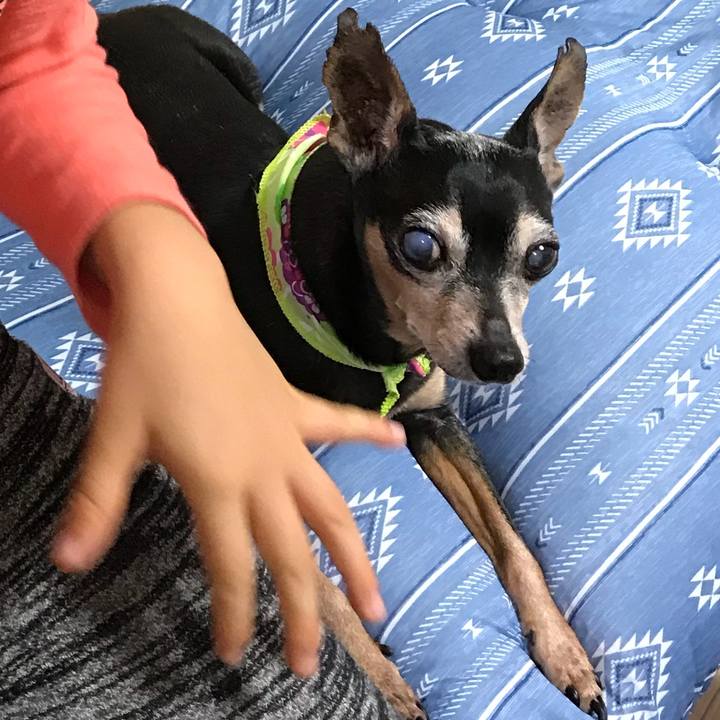 034062e0 c353 4beb b950 46c2cd603d41 1560512782604