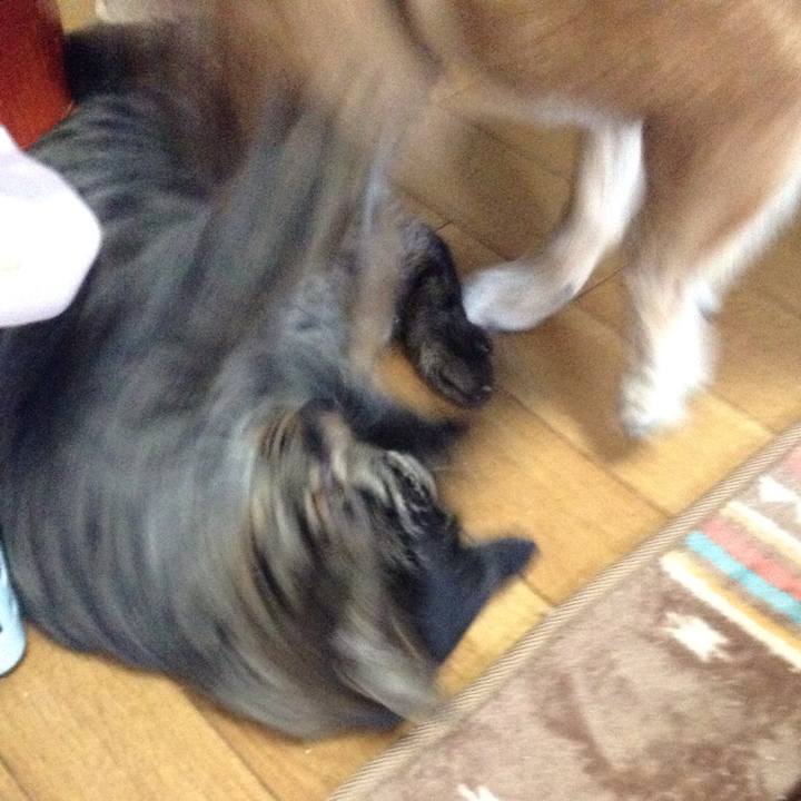 03406e27 59a6 43eb aee0 2732fd868047 1549012468842