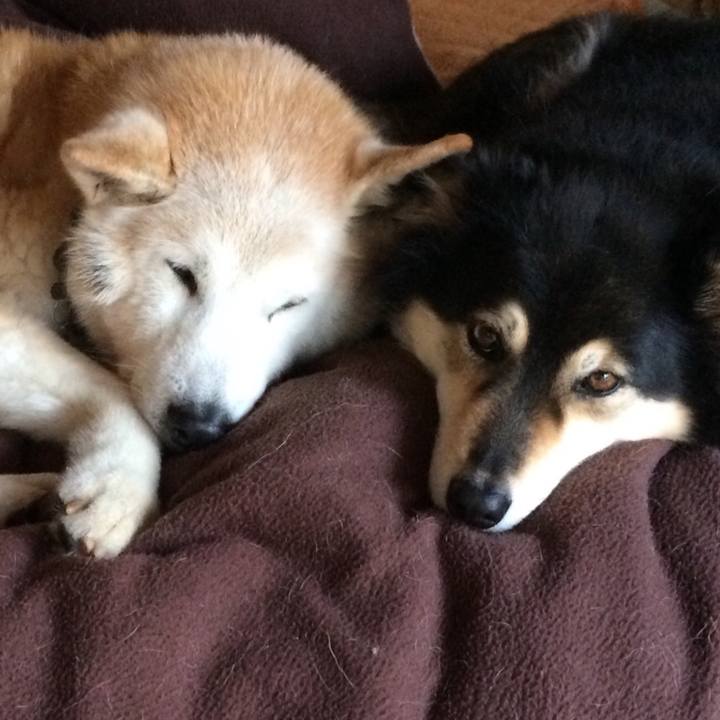 0340b0c2 be12 4cff 886d 29dfccefefed 1516525549343