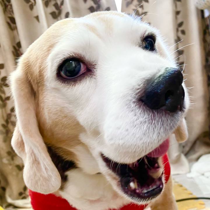 03410a0a cead 4b8e 9602 ec4bd09a1743 1614059468847