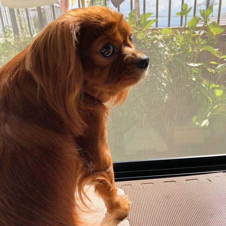 034116ad c371 40fd b0a1 d7f502c67a67 1571555501095